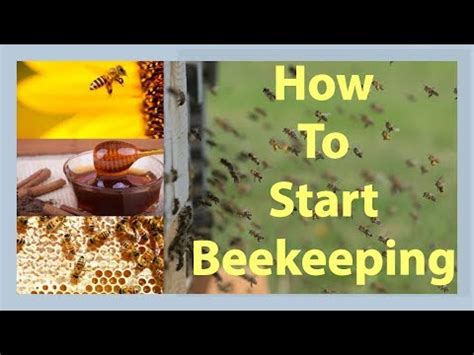 Beekeeping Tutorial 的图像结果
