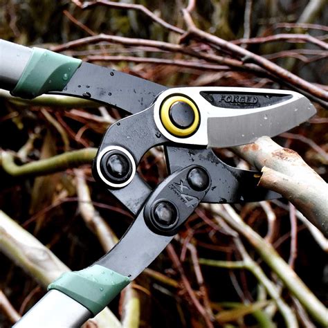 How to Use Loppers 的图像结果