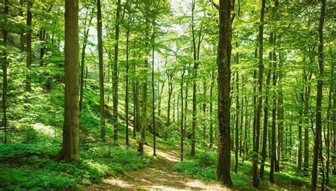 Tourist Places In Virudhunagar For Plan A Relaxed Trip In 2026