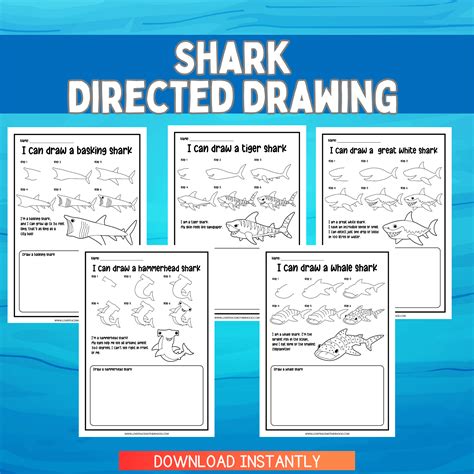 Learn How to Draw Sharks Worksheets for Kids – 8 Shark Designs Including Great White, Hammerhead ...