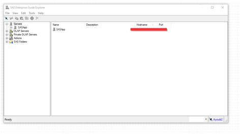 Image result for SAS Server