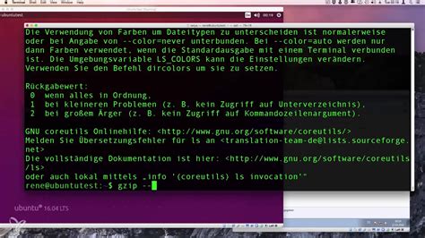 Option Linux 的图像结果