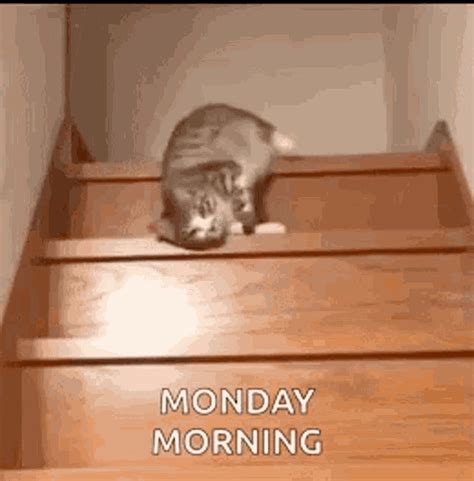 Monday Morning GIFs | Tenor