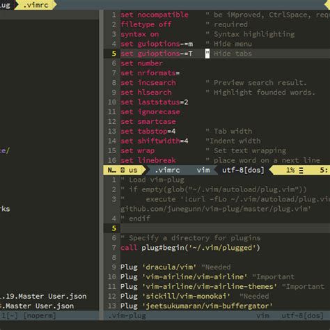 Image result for Vim Coding Pro