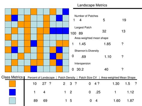 Image result for Spatial Pattern