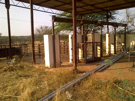 Pictures -- CSA IISc -- IISC-CHALLAKERE Campus