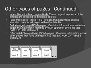 Image result for SQL Server Pages