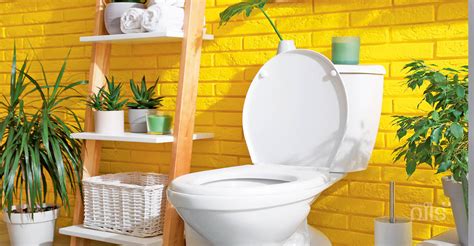 ടൈൽ ഇളക്കാതെ ബാത്റൂം ചോർച്ച മാറ്റാനാകുമോ? പരസ്യം വിശ്വസിക്കാമോ ...