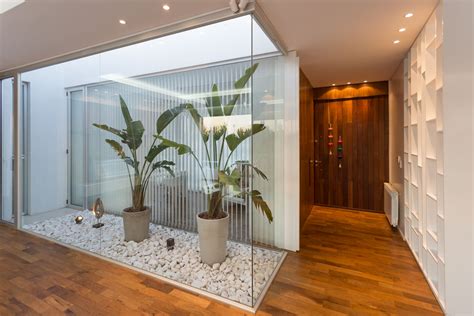 20 ideas to decorate your home with indoor plants | homify