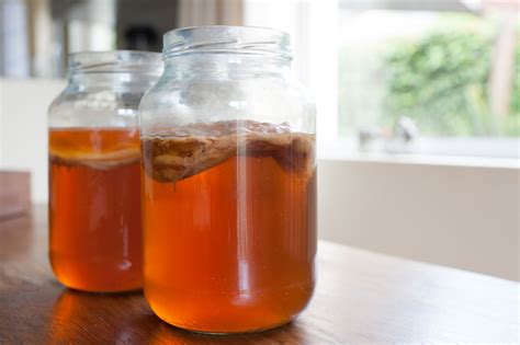 How to Make Homemade Kombucha From Scratch | Digital Trends