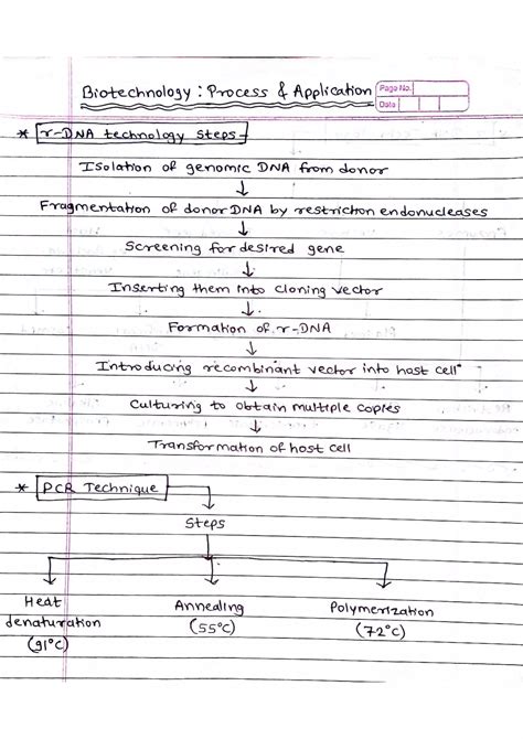 Image result for Biotechnology Process
