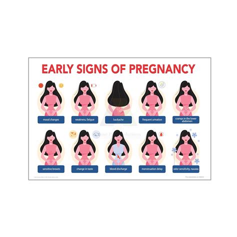 Anne Print Solutions® Early sign of pregnancy Poster (Without Frame ...