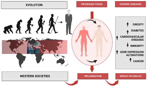 Global Impacts of Western Diet and Its Effects on Metabolism and Health ...