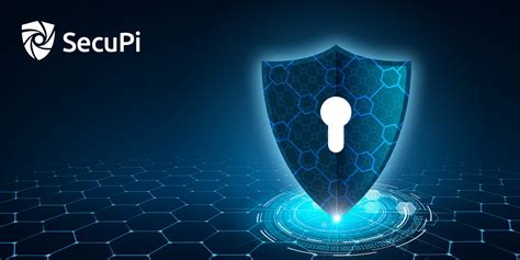 Image result for Secupi Data Classification