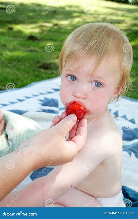 Baby Eat Strawberry in Summer Stock Image - Image of agricultural, garden: 2604119