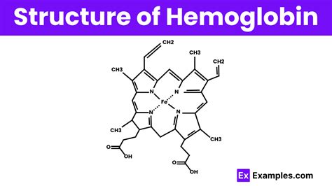 Image result for Complex Structure of Haemoglobin