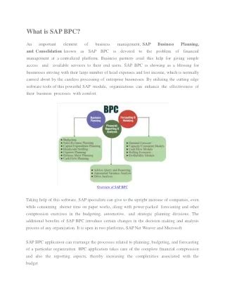 Image result for SAP BPC Tutorial