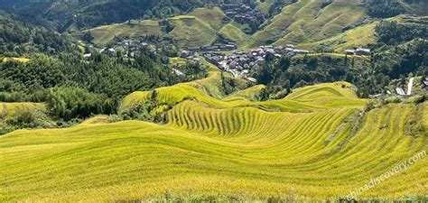 Image result for Most Intense Java Code