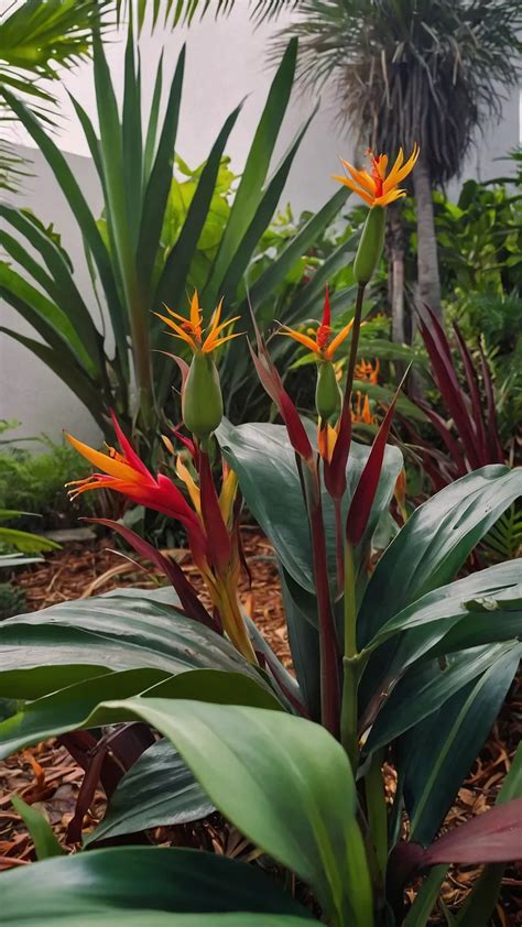 Vibrant Oasis: 15 Tropical Plants Ideas for Outdoor Full Sun Gardens ...
