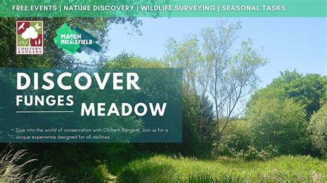 Discover Funges Meadow | Evening Session, Funges Meadow, High Wycombe ...