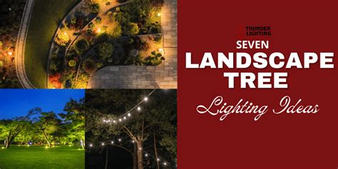 Landscape Tree Lighting 的图像结果