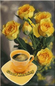 Image result for SQL Server Compact Edition Server Tools