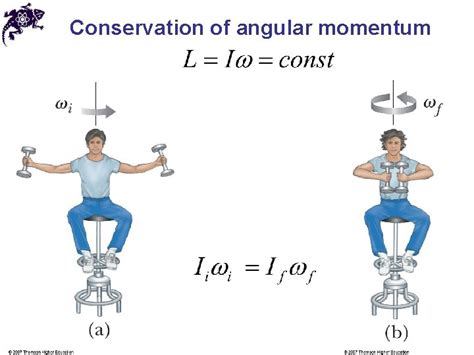 Static Equilibrium Tutorials 的图像结果