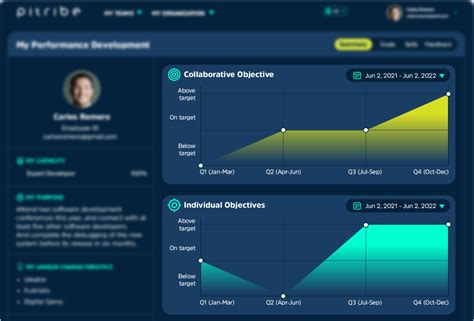 Project Performance Development 的图像结果