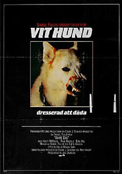 White Dog Full Free Movie 的图像结果