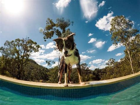 THE COURTHOUSE (St. Albans) - B&B Reviews & Photos - Tripadvisor