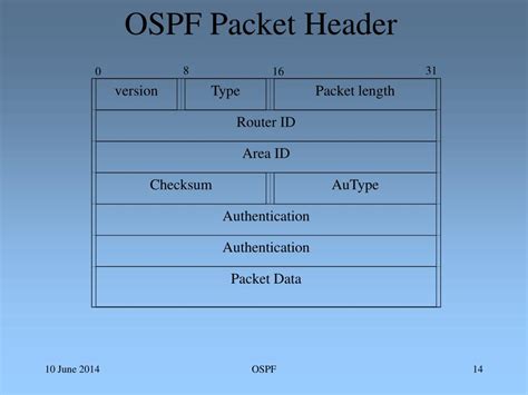 Image result for Ospf Header Format Example Step by Step