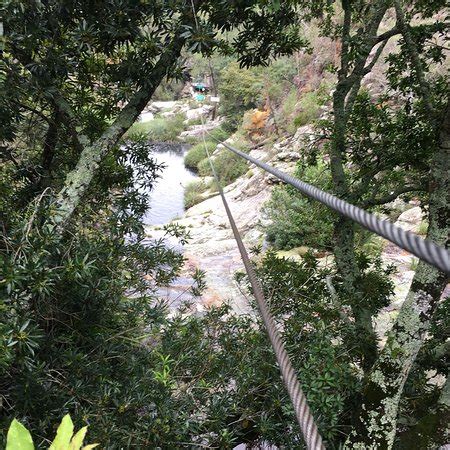 Tsitsikamma Falls Adventures (Tsitsikamma National Park) - What to Know ...