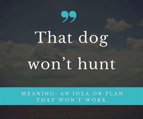 9 funny southern phrases and their origins | Southern phrases, Funny ...