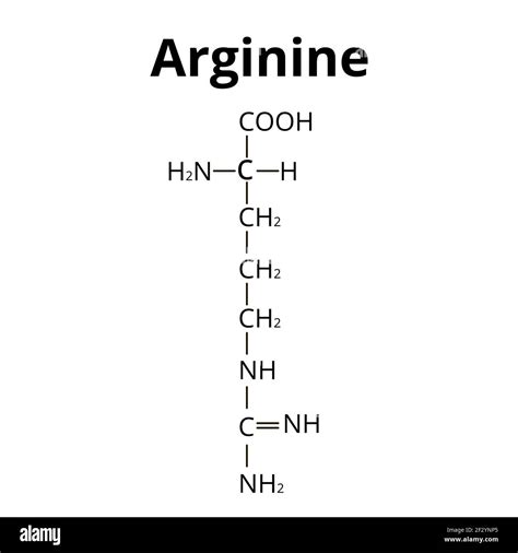 Structure Of Arginine