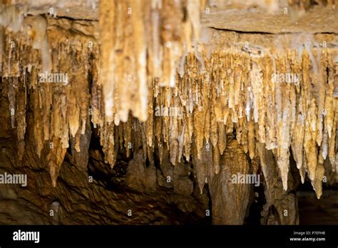 Cave 的图像结果