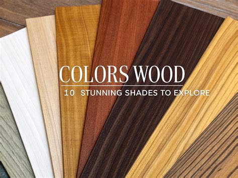 Colors Of Wood: 10 Stunning Shades To Explore