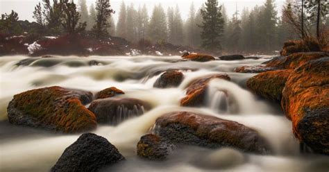 Image result for How to File Images