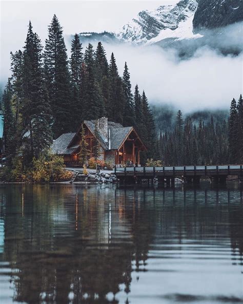 Camping with dogs checklist for pet friendly essentials in 2022 – Artofit