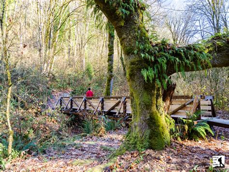 Coal Creek Trail - Red Town Trailhead | Hiking with my Brother