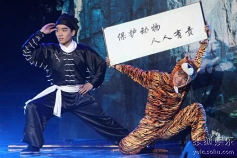《奇舞飞扬》舞蹈融合公益 设计理念传递正能量-搜狐娱乐