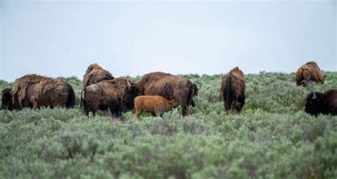 Big Sky Summer Activities | Hiking, Biking, Rafting & More