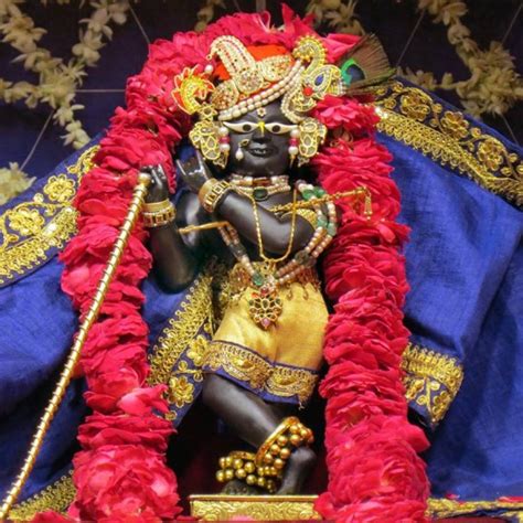 Model No- 1109 Radha Raman Wallpape (12x12 Size ) Photographic Paper ...