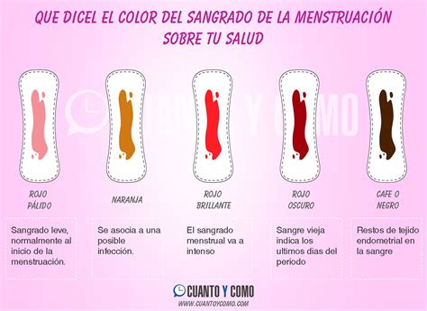Cuanto dura el PERIODO MENSTRUAL 【 Duración y datos importantes