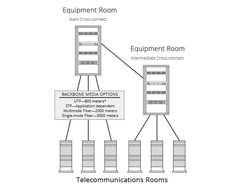 Backbone Connection 的图像结果