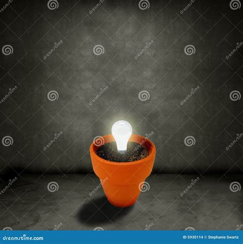 Growing Light bulb stock photo. Image of global, kyoto - 5930114
