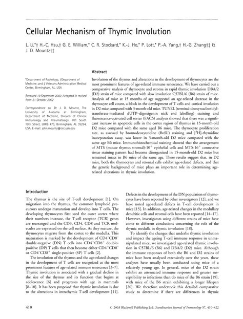 Image result for What Is Thymic Involution