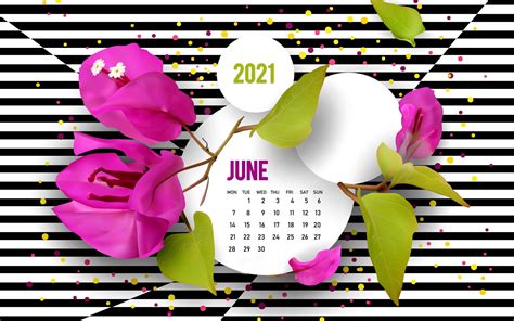 Image result for Spring Lock Split Box