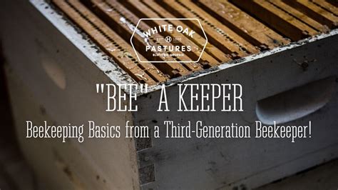 Beekeeping for Beginners, White Oak Pastures, Bluffton, 3 May 2025 ...