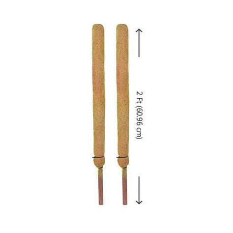 Buy 3ft Coir Pole (set of 2) online from Nurserylive at lowest price.