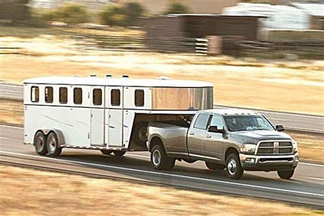 Image result for Loading Goats On Trailer